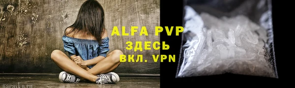 прущие грибы Белокуриха