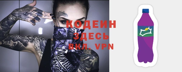 прущие грибы Белокуриха