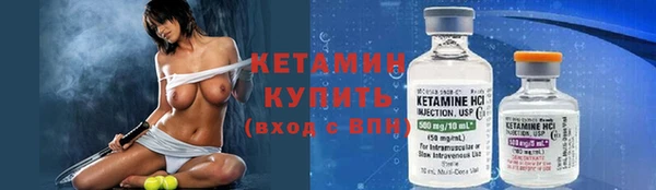 прущие грибы Белокуриха