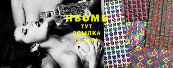 прущие грибы Белокуриха